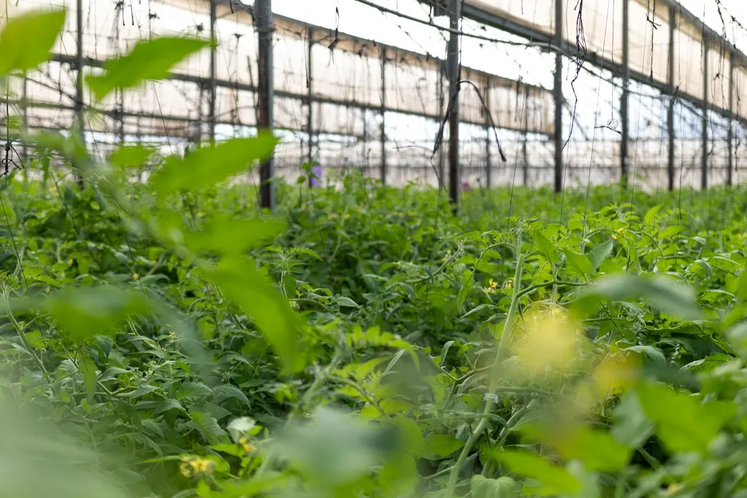 国产工业控制器与进口PLC模块的稳定性对比分析
