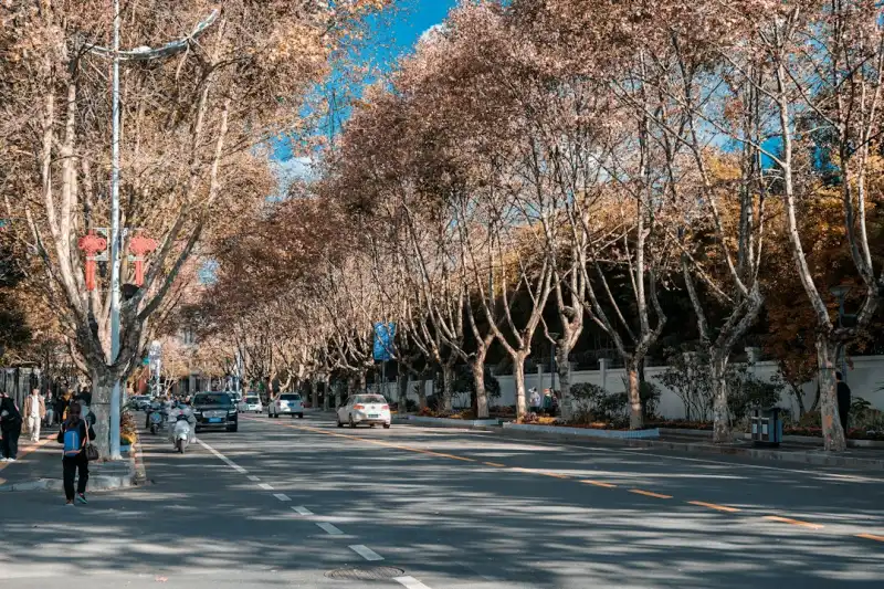 湖北坎泽鑫PLC模块在自动化产线中的应用优势解析